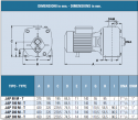 elettropompe autoadescanti jet per aspirazione profonda IT-JAP150T dimensioni