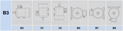 Electric motor model SF56-2B configuration B3