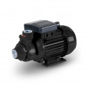 Peripheral electric pumps with radial impeller P | IT-P2